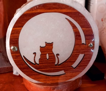 LAMPADA DI SALE SFONDO GATTI