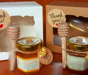 Miele millefiori ed eucalipto BIO gr 50