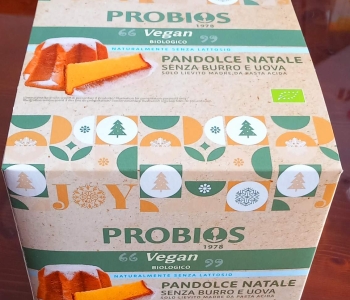 PROBIOS PANDOLCE NATALE VEGAN GR.600