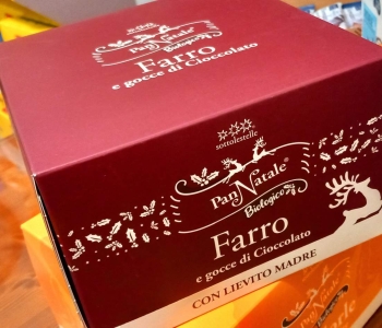 PanNatale al Farro e gocce di cioccolato gr 500